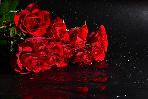 863012 (a): :2600x1735